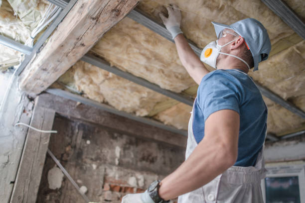 Best Cellulose Insulation in Broadway, NC